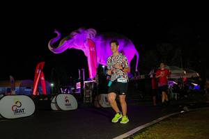 BIB: 
                            <button type="button" onclick="openModal(26543906)" class="btn btn-primary btn-sm float-right btn-popup" data-toggle="modal" data-target=".modal-high-quality">
                        <i class="fas fa-shopping-cart"></i> Add to Cart
                    </button>
                                            <button type="button" onclick="isThisMe(26543906, true)" class="btn btn-success btn-sm float-right btn-popup btn-isme hidden" data-toggle="tooltip" data-placement="bottom" title="นี่คือรูปของคุณใช่ไหม คลิกที่นี่เพื่อเอาเข้าอัลบั้ม">
                        <i class="fas fa-plus"></i> Add to album
                    </button>
                    <button type="button" onclick="isThisMe(26543906, false)" class="btn btn-warning btn-sm float-right btn-popup btn-isnotme hidden">
                        <i class="fas fa-ban"></i> Remove from album
                    </button>